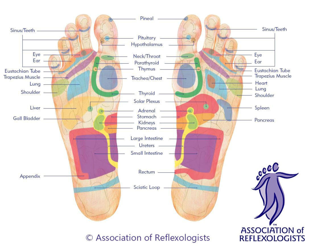 Reflexology diagram of feet